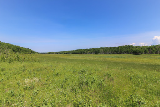 Long Meadow - Visual