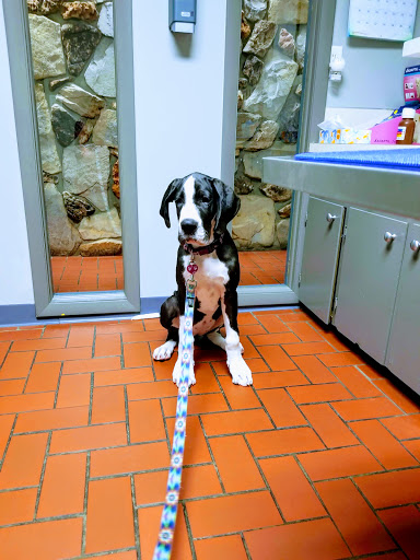Wyoming Animal Hospital - Thumbnail