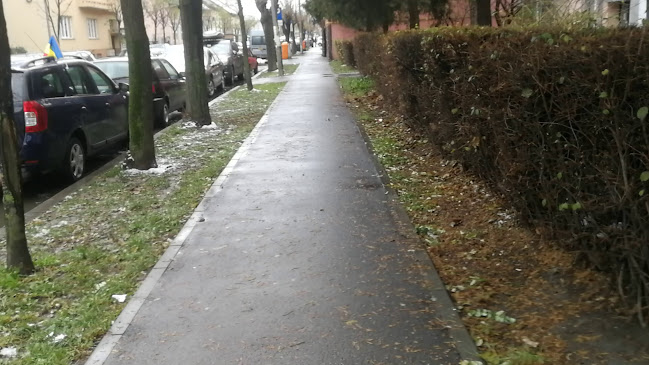 Strada Corvinilor 11, Satu Mare 447230