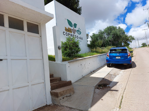 Copreso - Visual