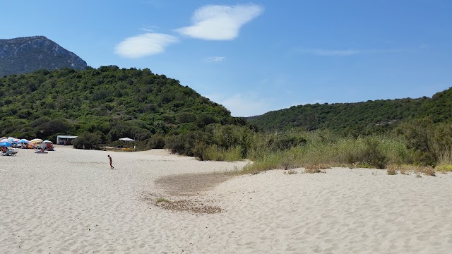 Spiaggia di Cala Cartoe
