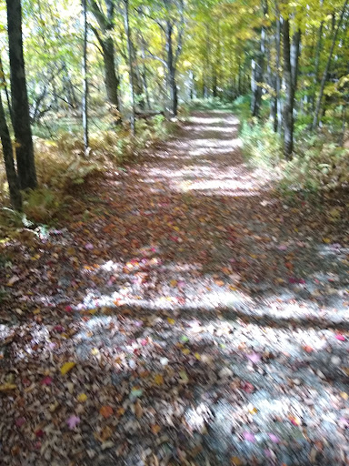 Maple Hill Campsites - Thumbnail