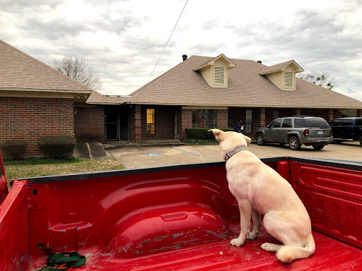 Moore Animal Clinic - Thumbnail