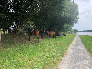 Photo n°4 de Centre Equestre de Vire à Vire Normandie (Centre équestre)