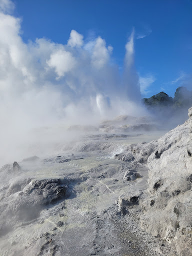 Te Puia Thermal Park - Thumbnail