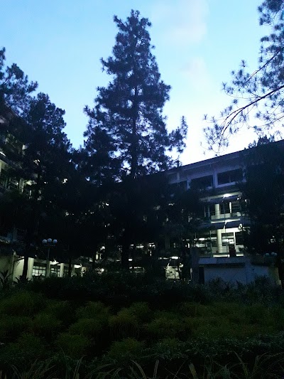 Photos of Taman Pinus atau Plaza Sukarno