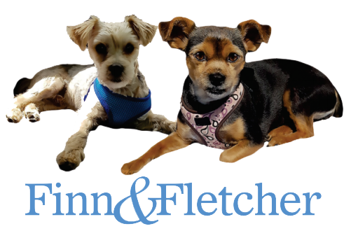 The Finn & Fletcher Co. - Thumbnail