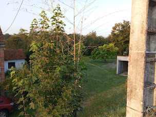 Photo n°11 de La guinguette de la Grenouille de Saint Martin des Lais à Saint-Martin-des-Lais (Brasserie)