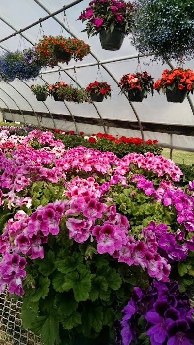 Photos of Valley Florist, Greenhouses & Gift Shop