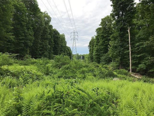 Bergen County Campgaw Mountain Reservation