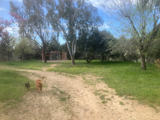 Minibosque