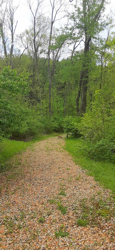 Harrison State Forest Camp Ground