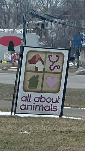All About Animals Rescue - Thumbnail