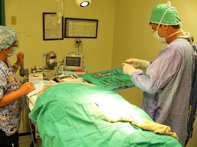 Photos of Tomoka Pines Veterinary Hospital
