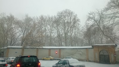 Photos of باغ دربند