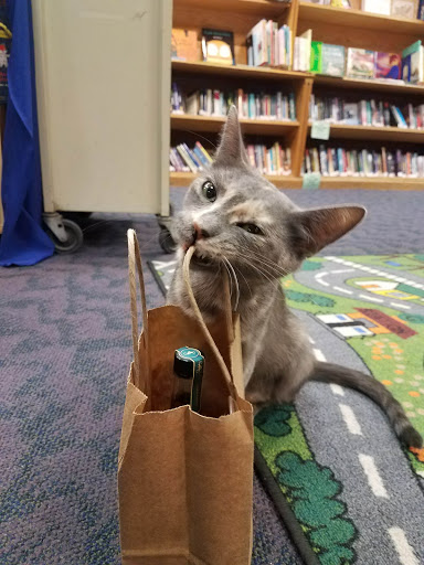 Longfellow Books - Thumbnail