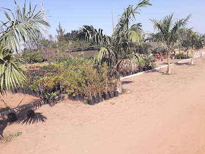Photos of Anand ashram salamanga