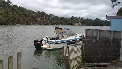 Photos of Wrens on Glenelg