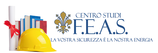 Centro Studi F.E.A.S. - Visual