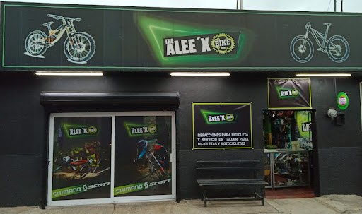 The Alee'x Bike 2014