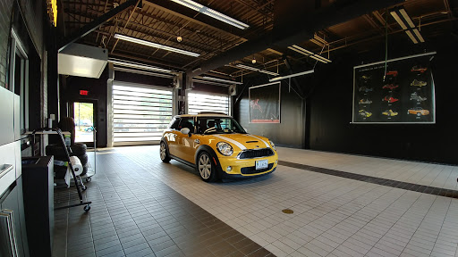 Checkered Flag MINI - Visual