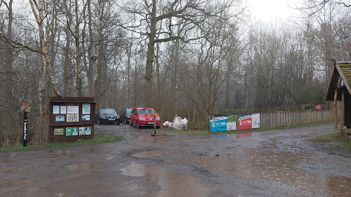 Hill Holt Wood School Gallery - United Kingdom