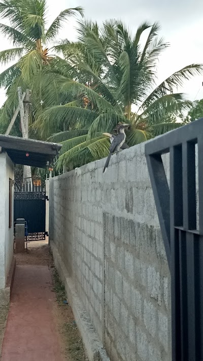 Photos of Anjana Guest House