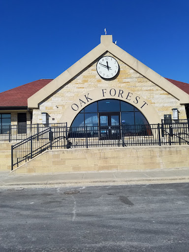 Oak Forest - Visual