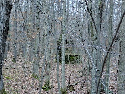 Keeney Swamp State Forest