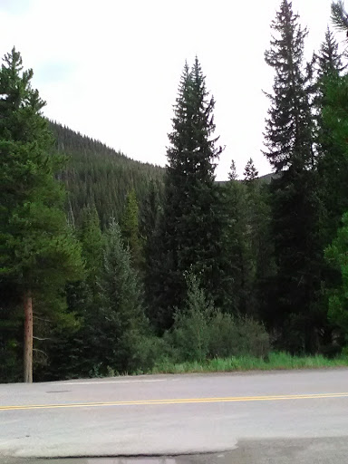 Power Line Parking Lot - Thumbnail