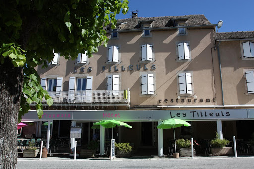 Photo 1 - Hôtel ** - Restaurant «Aux berges de Pareloup»