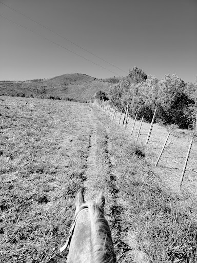 Bair Ranch stables - Thumbnail