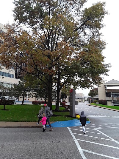 Mercy Hospital St. Louis