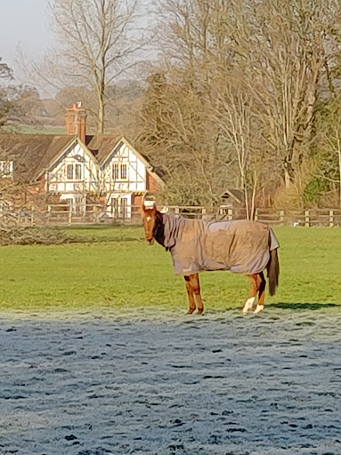 Trinity Park Stud - Visual