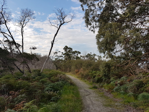 Woolley’s Beach Reserve Gallery - Australia
