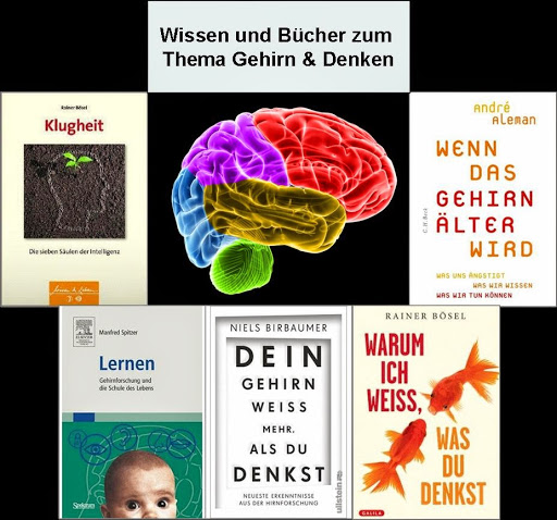 brain-books - Visual