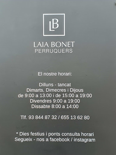 Laia Bonet Perruquers - Thumbnail