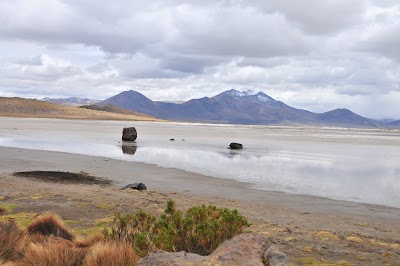 Photos of Monumento Natural Salar de Surire