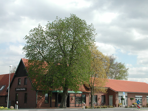 site_photo4