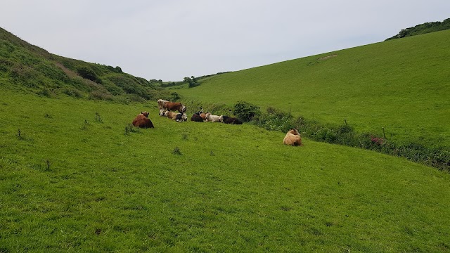 Bossiney Haven (Cove)