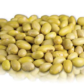 La Paloma Produce - United States