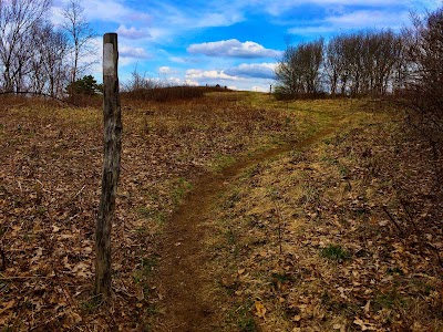 Rice Field Shelter/Appalachian Trail