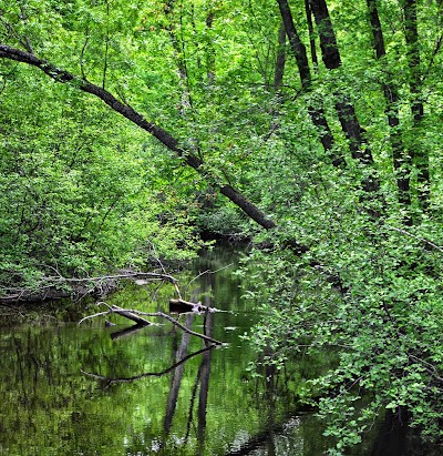 Photos of North Branch Bottoms State Natural Area