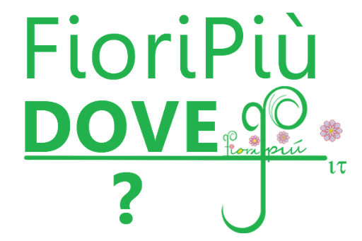 fioripiu.it - Visual