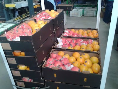 Photos of Al Hoda