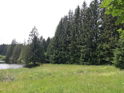 Ochsenbacher Teich - Visual