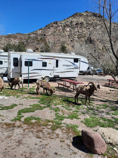 North Clifton RV Park - Thumbnail