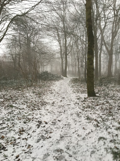 Kingston Gardens