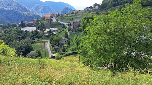Facchetti S.R.L. - Visual