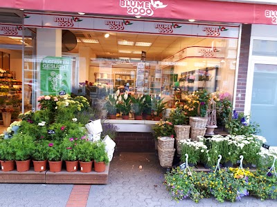 Photos of Cafe Bohne